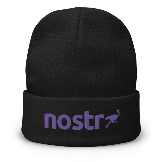 Front view of a black nostr beanie.