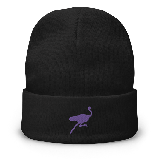Front view of a black nostr beanie.