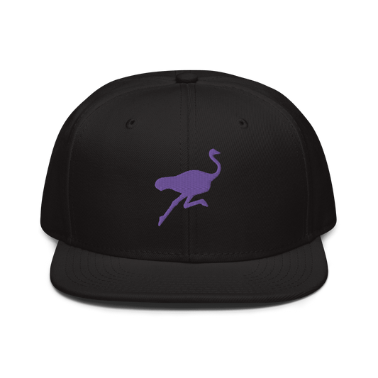 Front view of a black nostr snapback hat.