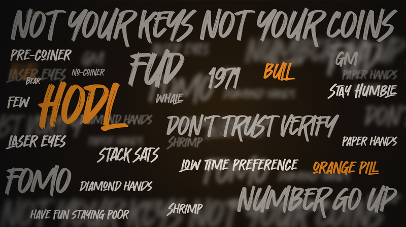 A wall of Bitcoin slang in brush lettering on near black, NOT YOUR KEYS NOT YOUR COINS across the top, with HODL, BULL and ORANGE PILL picked out in orange among terms like FUD, FOMO, diamond hands and stack sats.