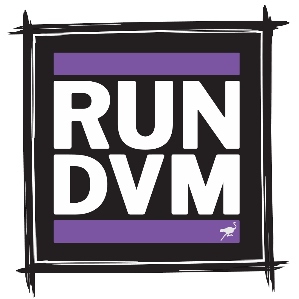 FÜHRE DVM AUS