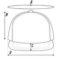 Black Nostr snapback hat with ostrich logo and flat grey under visor