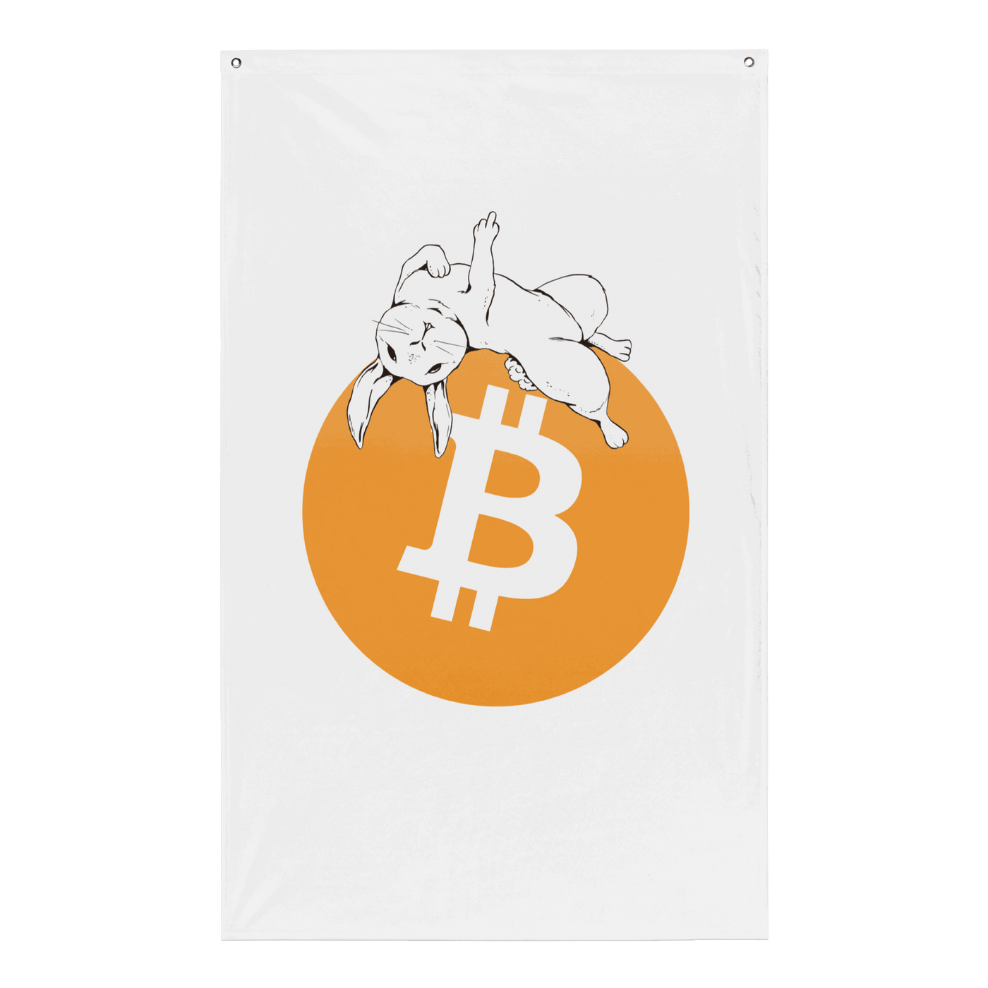 Bitcoin flag with bold anti-fiat message hanging on wall