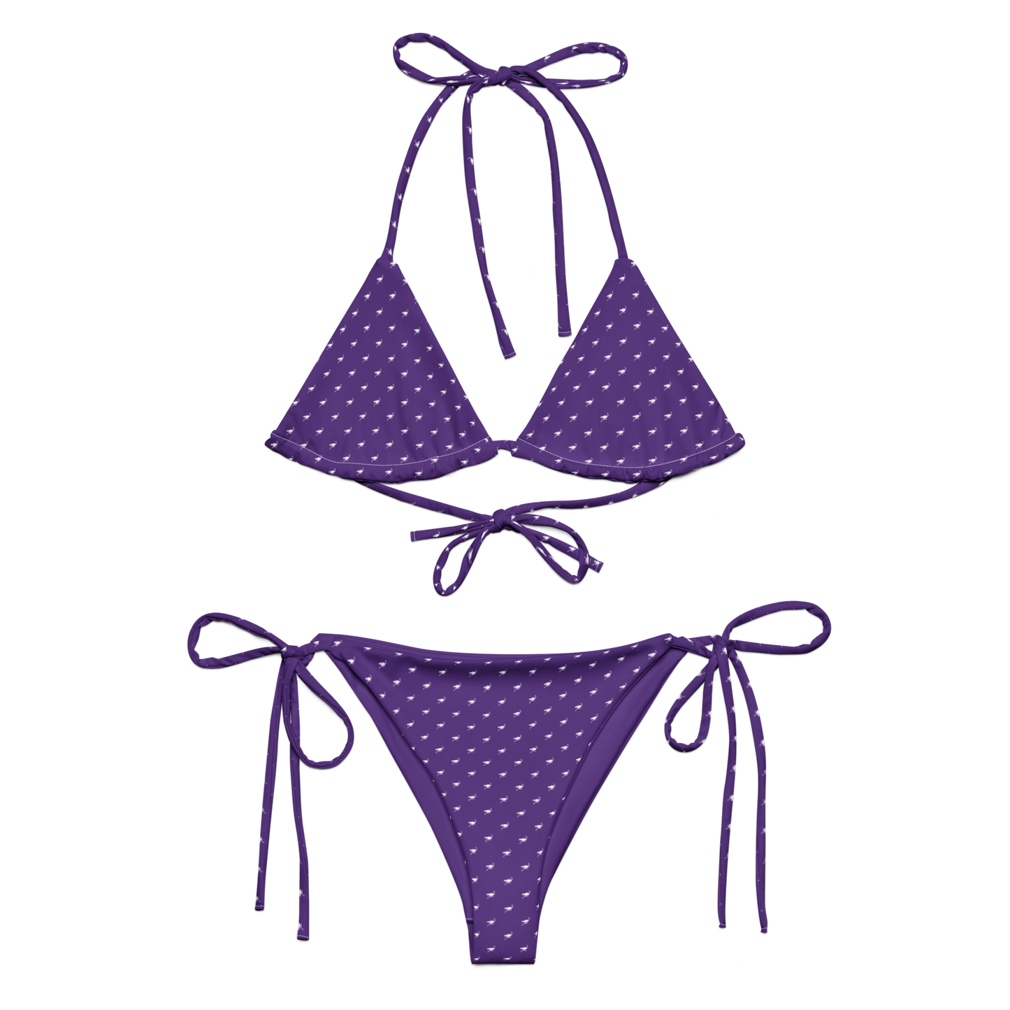 Front view of a purple nostr bikini.