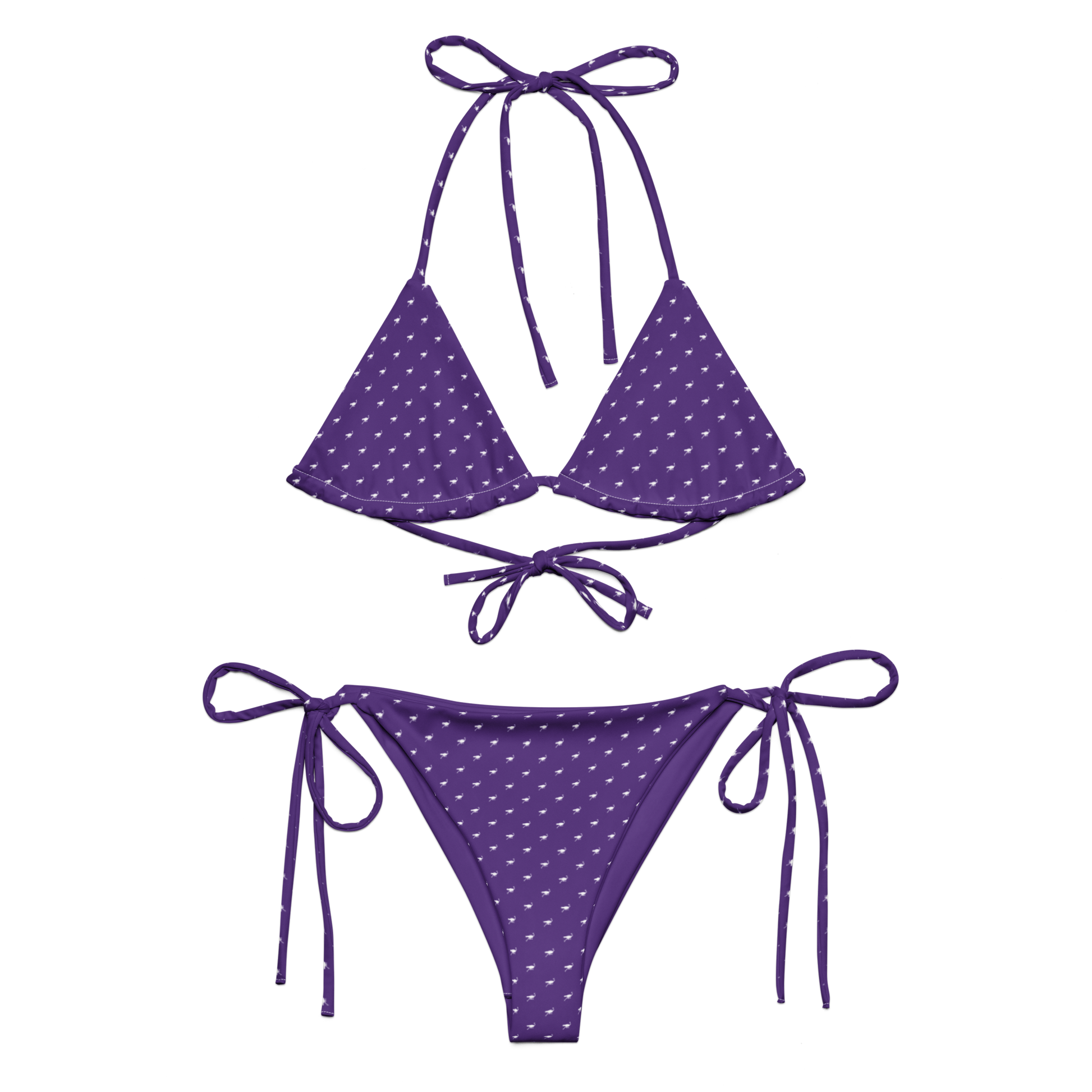 Front view of a purple nostr bikini.