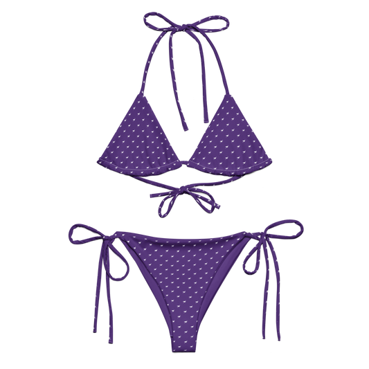Front view of a purple nostr bikini.