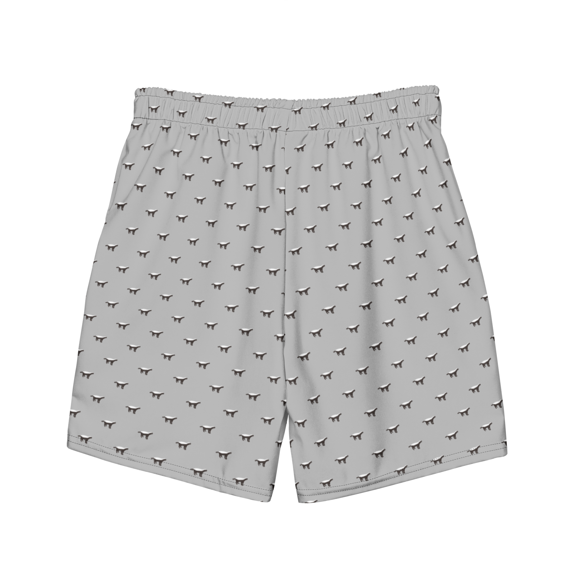 Back view of silver bitcoin swim trunks.