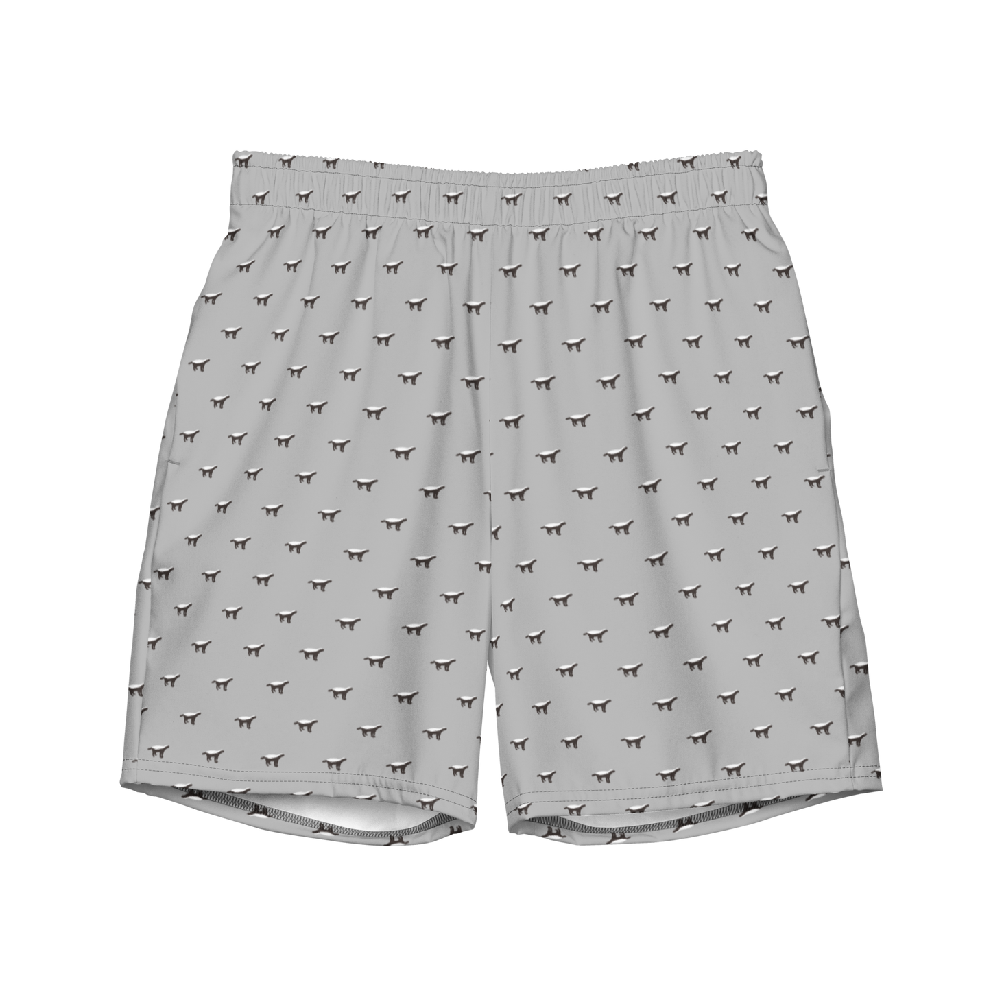 Front view of silver bitcoin swim trunks.