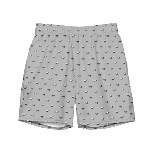 Front view of silver bitcoin swim trunks.