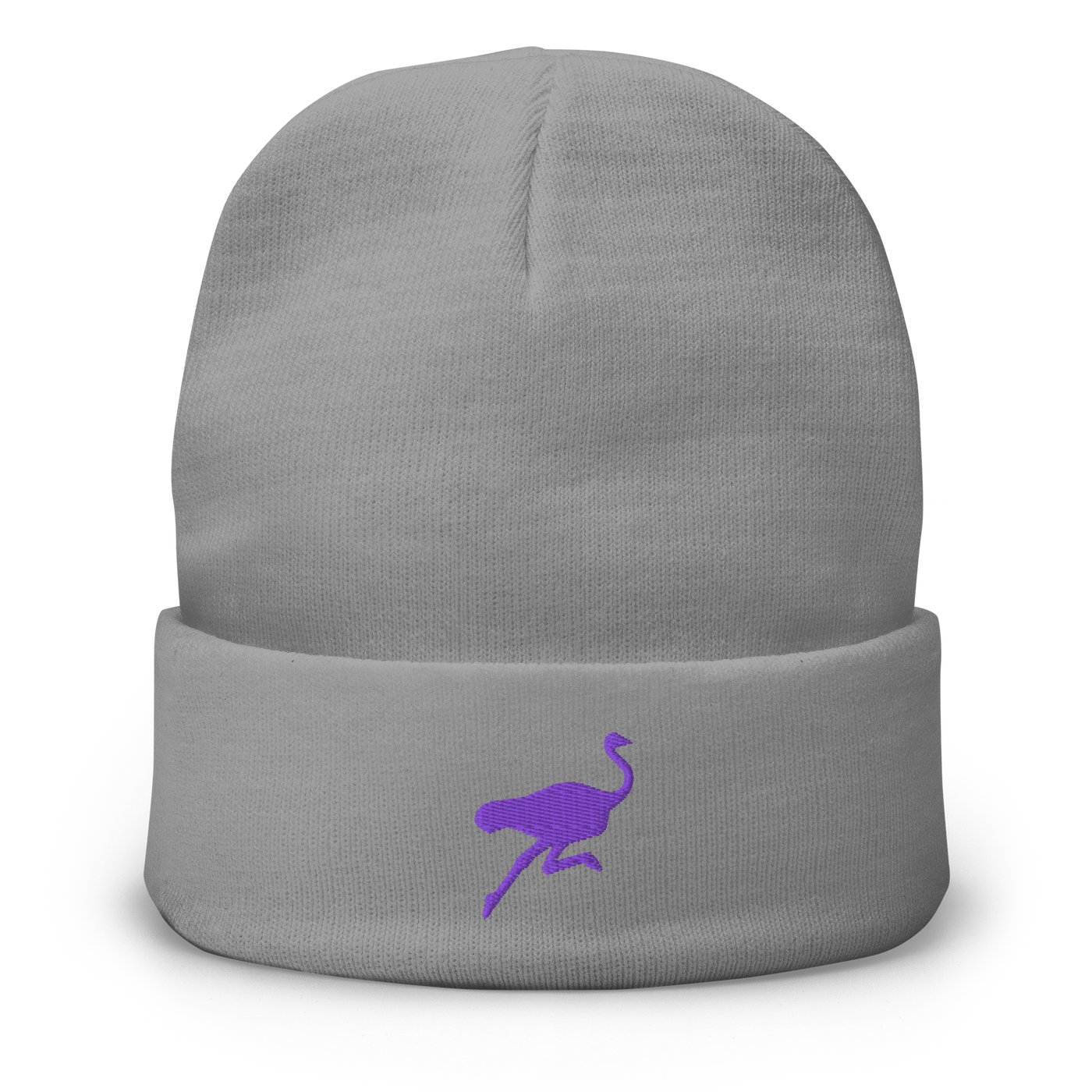 Nostrich embroidered nostr beanie in Grey, front view.