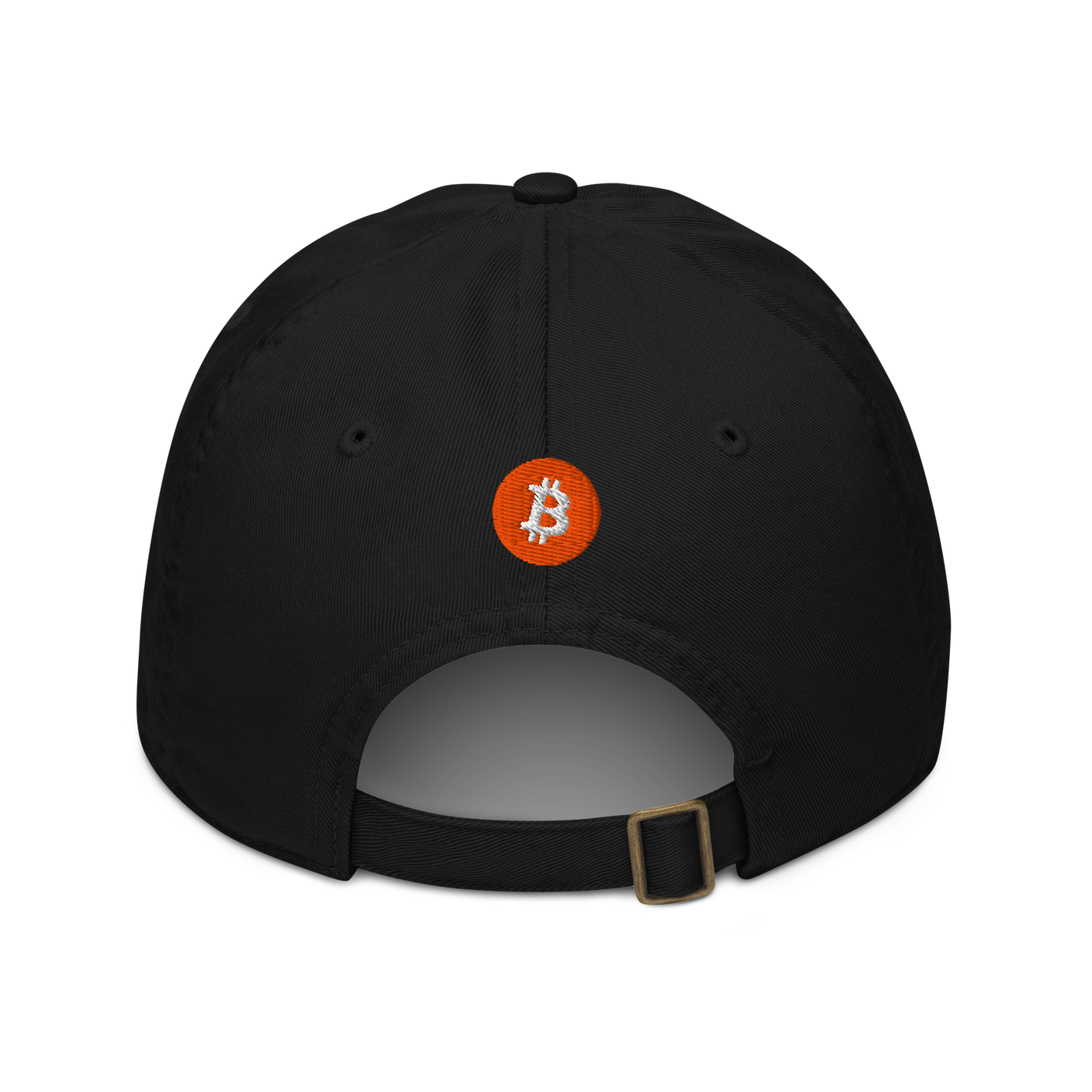 Einundzwanzig organic bitcoin dad hat in Black, back view.