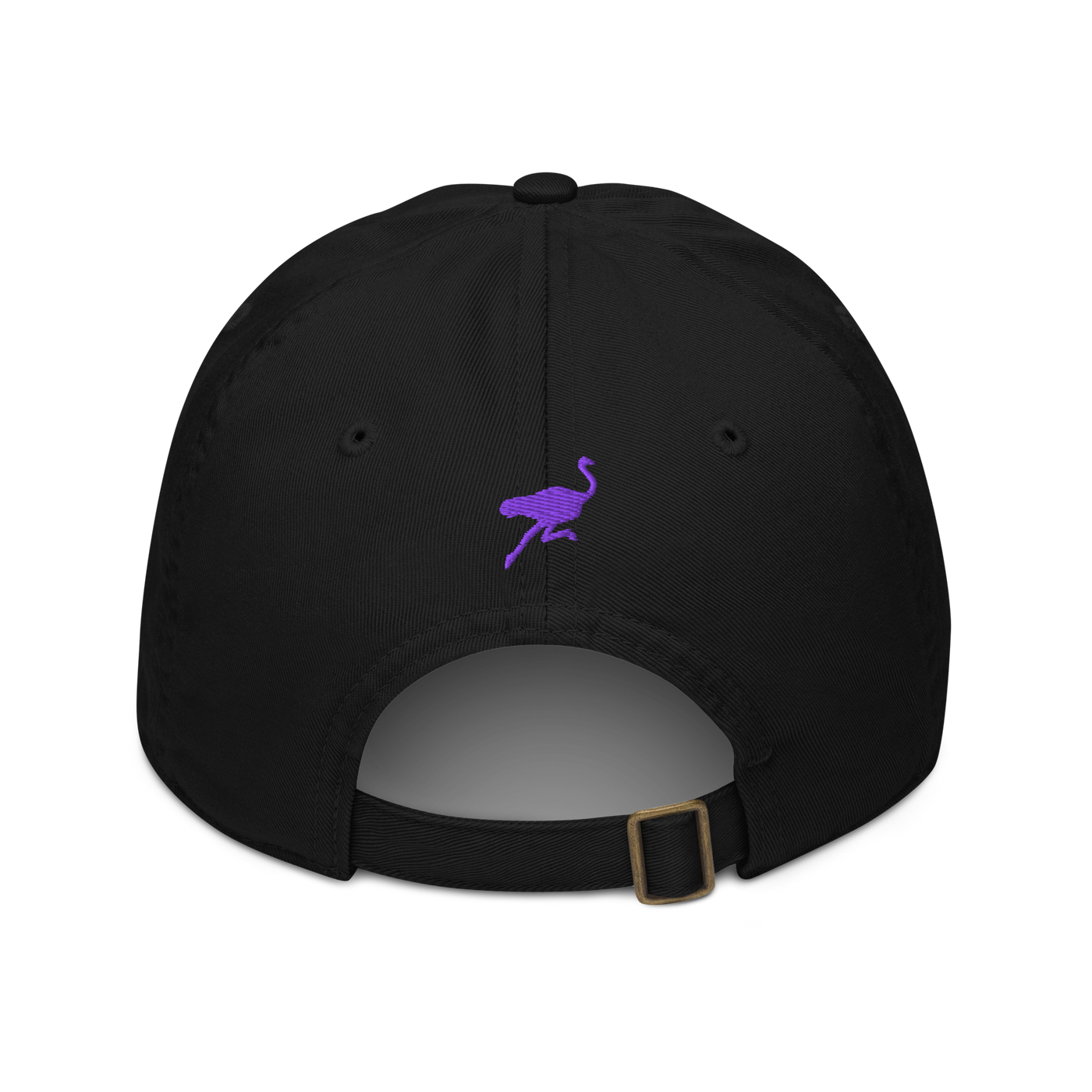 nPub? organic nostr dad hat in Black, back view.