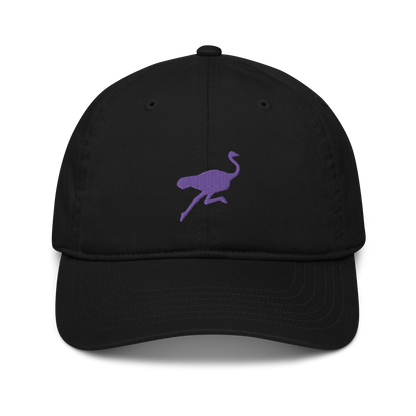 Front view of a black nostr dad hat.