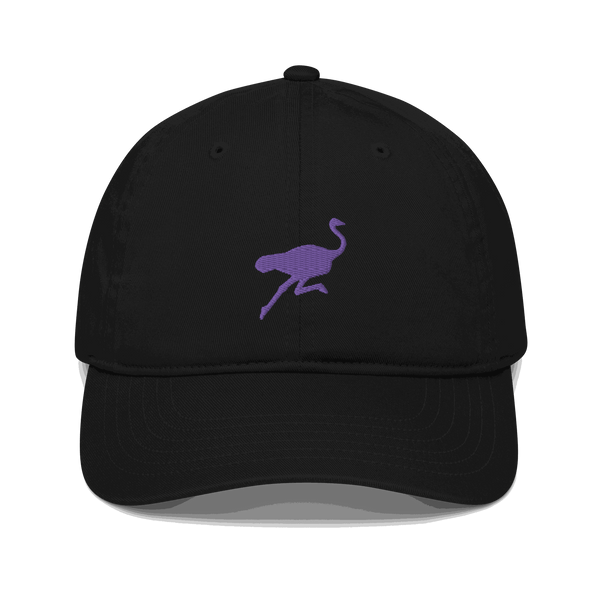 Nostrich Organic Bitcoin dad hat made of 100% organic cotton with adjustable closure and sustainable design