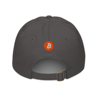 Einundzwanzig organic bitcoin dad hat in Charcoal, back view.