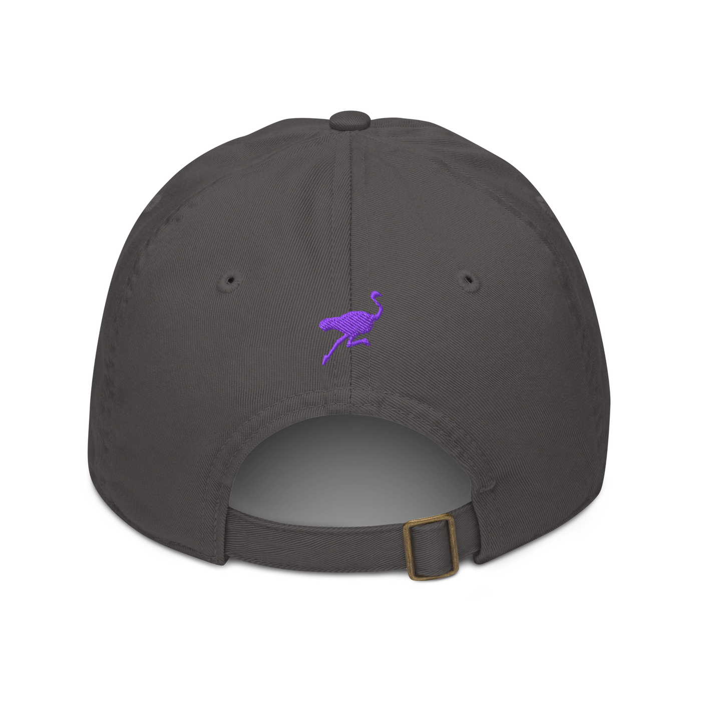 Nostr organic nostr dad hat in Charcoal, back view.