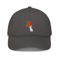 White Rabbit organic bitcoin dad hat in Charcoal, front view.