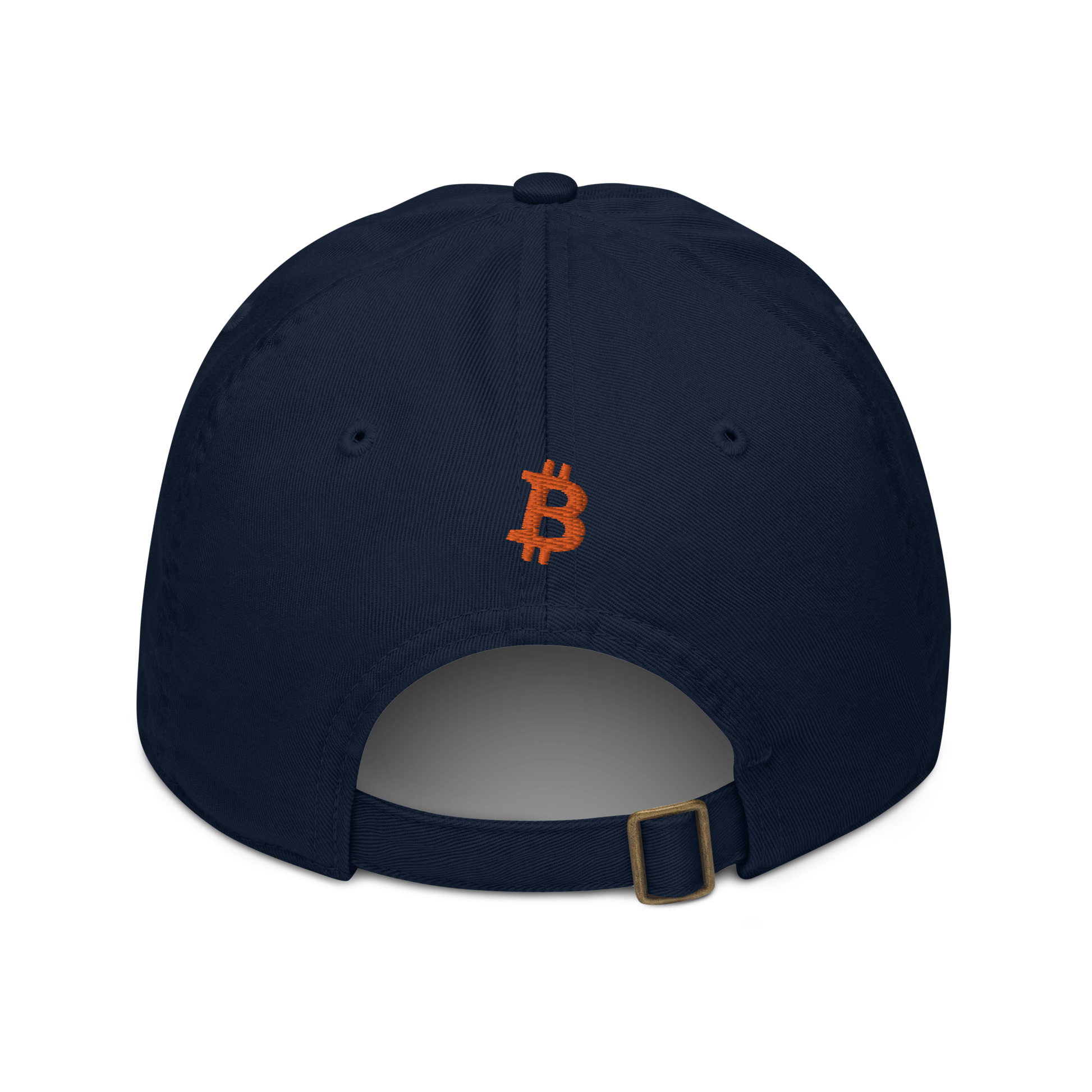 Back view of a pacific blue bitcoin dad hat.