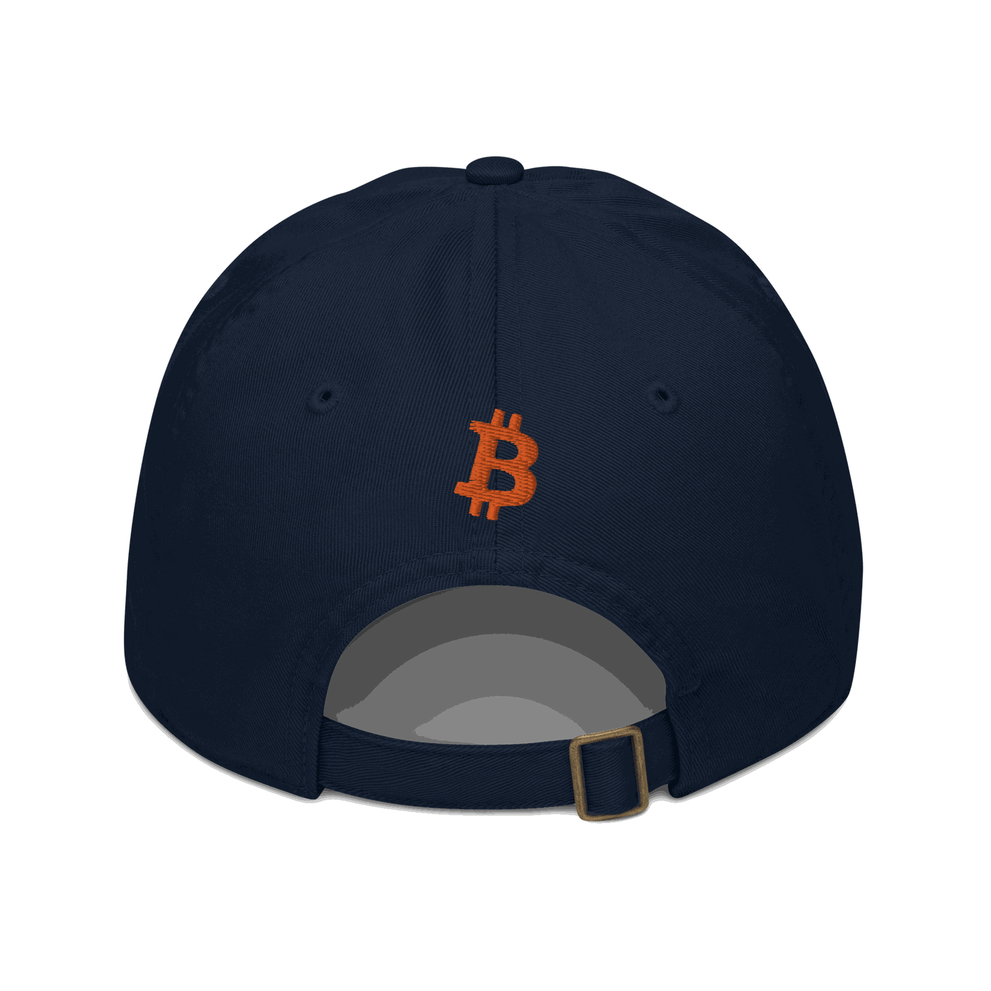 Back view of a pacific blue bitcoin dad hat.