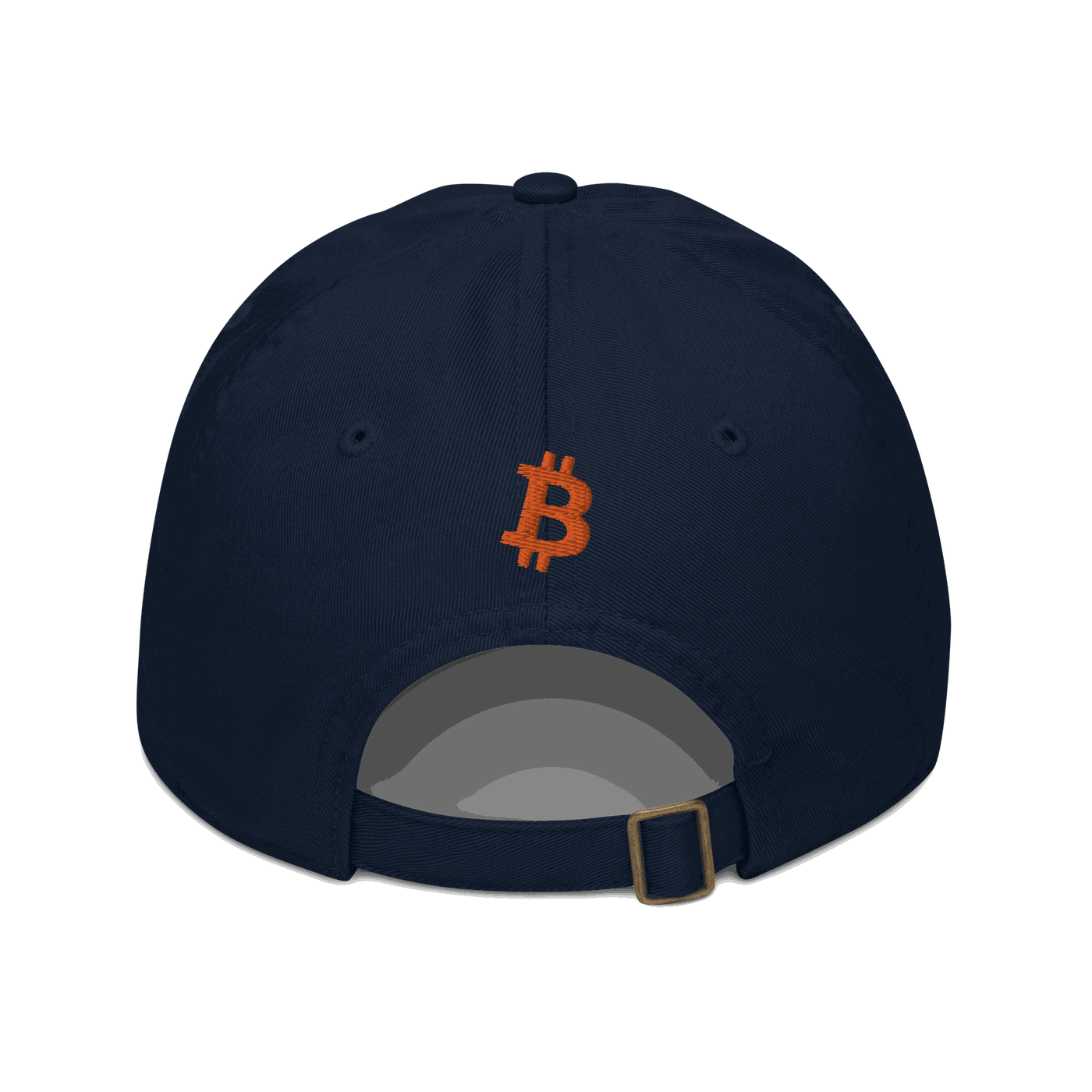 Back view of a pacific blue bitcoin dad hat.