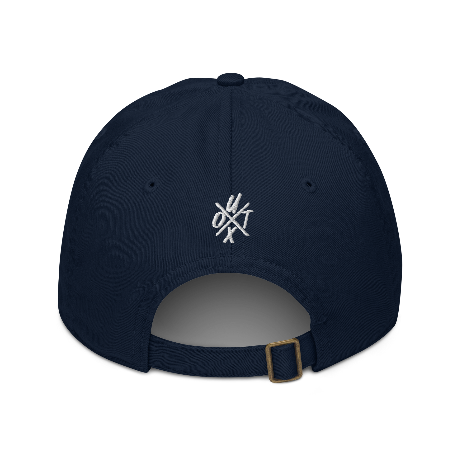 Back view of a pacific blue bitcoin dad hat.