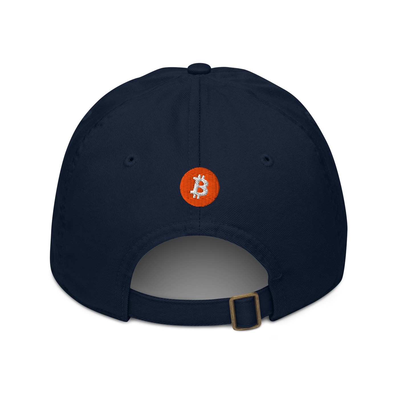 Einundzwanzig organic bitcoin dad hat in Pacific, back view.