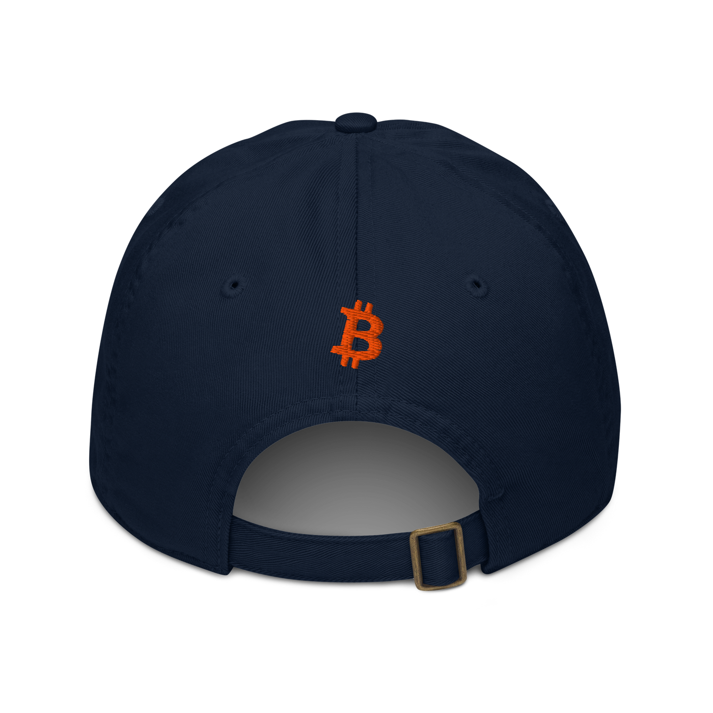 Circuit Board organic bitcoin dad hat in Pacific, back view.