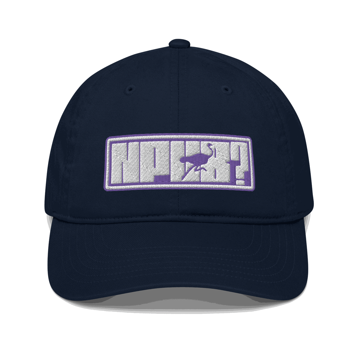 Front view of a pacific blue nostr dad hat.