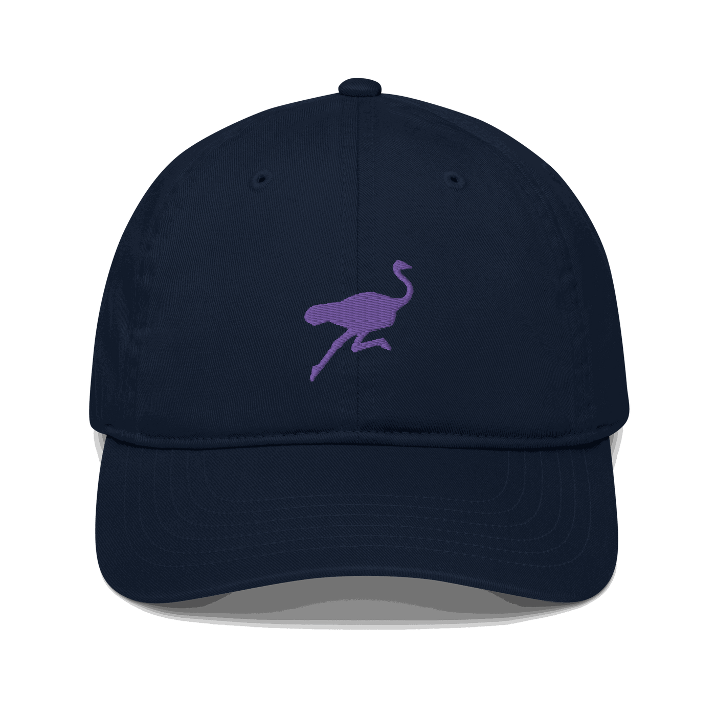 Front view of a pacific blue nostr dad hat.