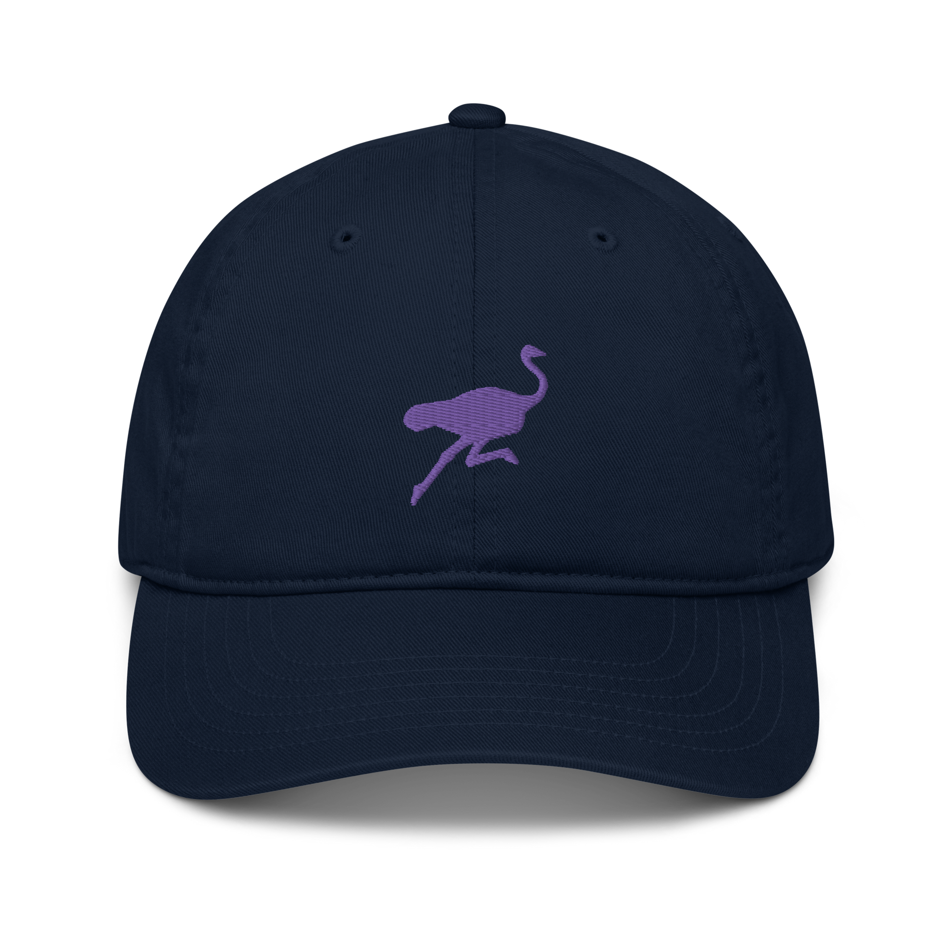 Front view of a pacific blue nostr dad hat.