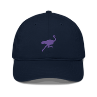 Front view of a pacific blue nostr dad hat.