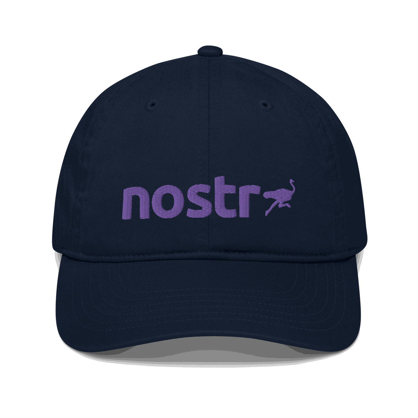 Front view of a pacific blue nostr dad hat.