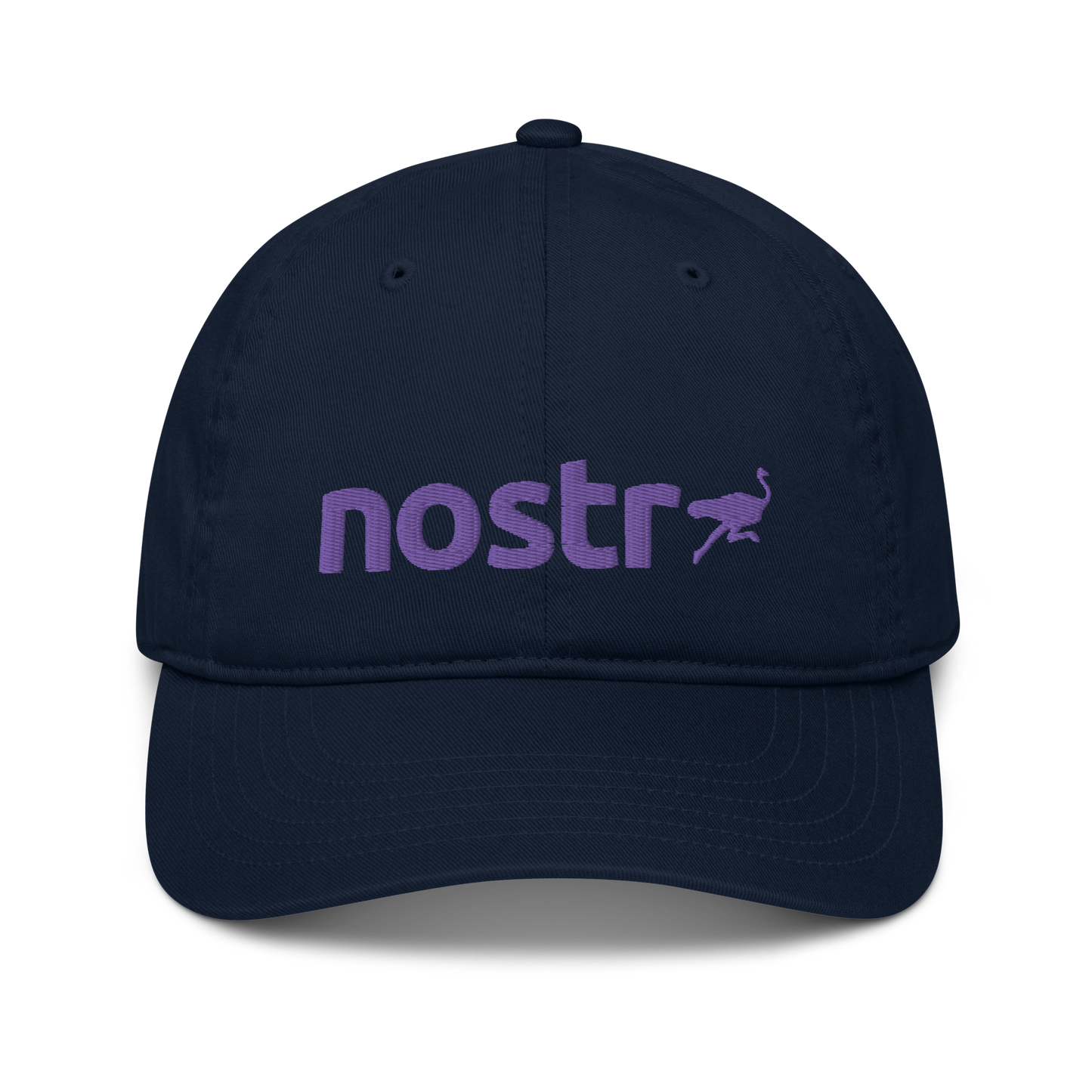 Front view of a pacific blue nostr dad hat.