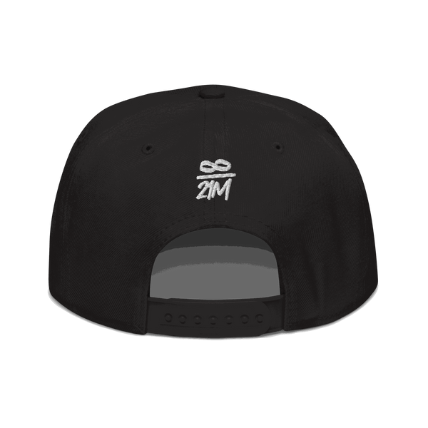 Back view of a black bitcoin snapback hat.