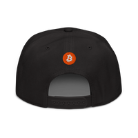 Einundzwanzig bitcoin snapback hat in Black, back view.