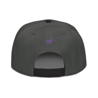 Back view of a charcoal grey and black nostr snapback hat.