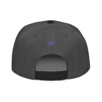 Back view of a charcoal grey and black nostr snapback hat.