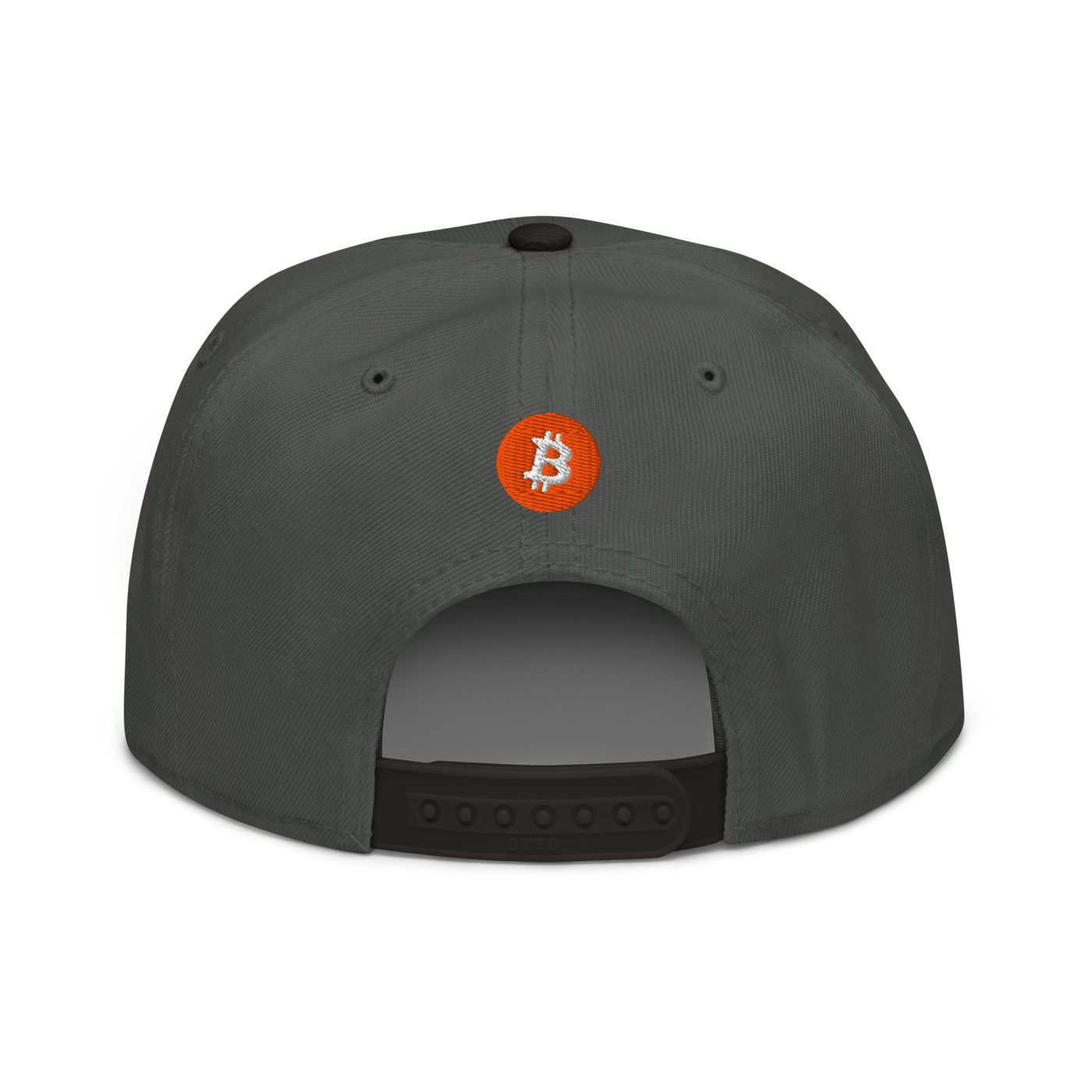 Einundzwanzig bitcoin snapback hat in Black / Charcoal gray / Charcoal gray, back view.