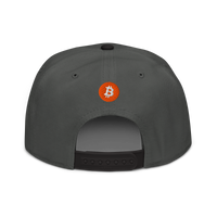 Einundzwanzig bitcoin snapback hat in Black / Charcoal gray / Charcoal gray, back view.
