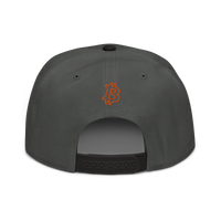 Circuit Board bitcoin snapback hat in Black / Charcoal gray / Charcoal gray, back view.