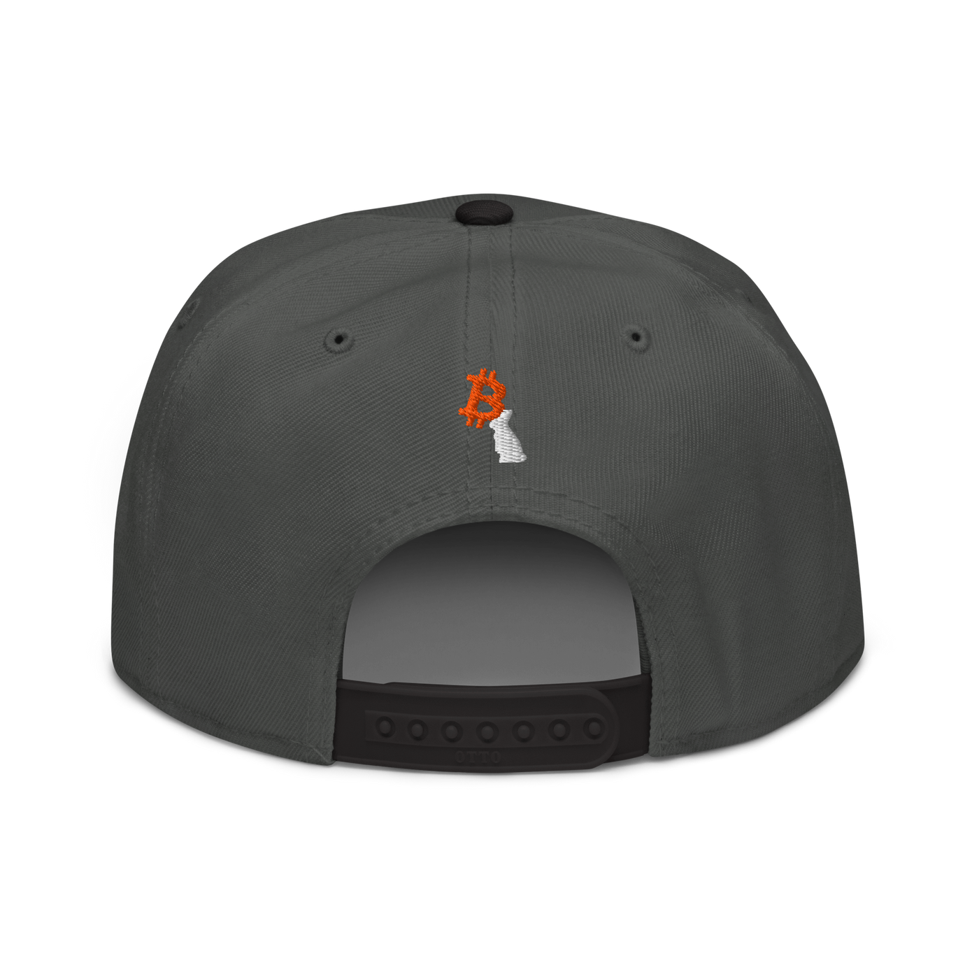 White Rabbit bitcoin snapback hat in Black / Charcoal gray / Charcoal gray, back view.