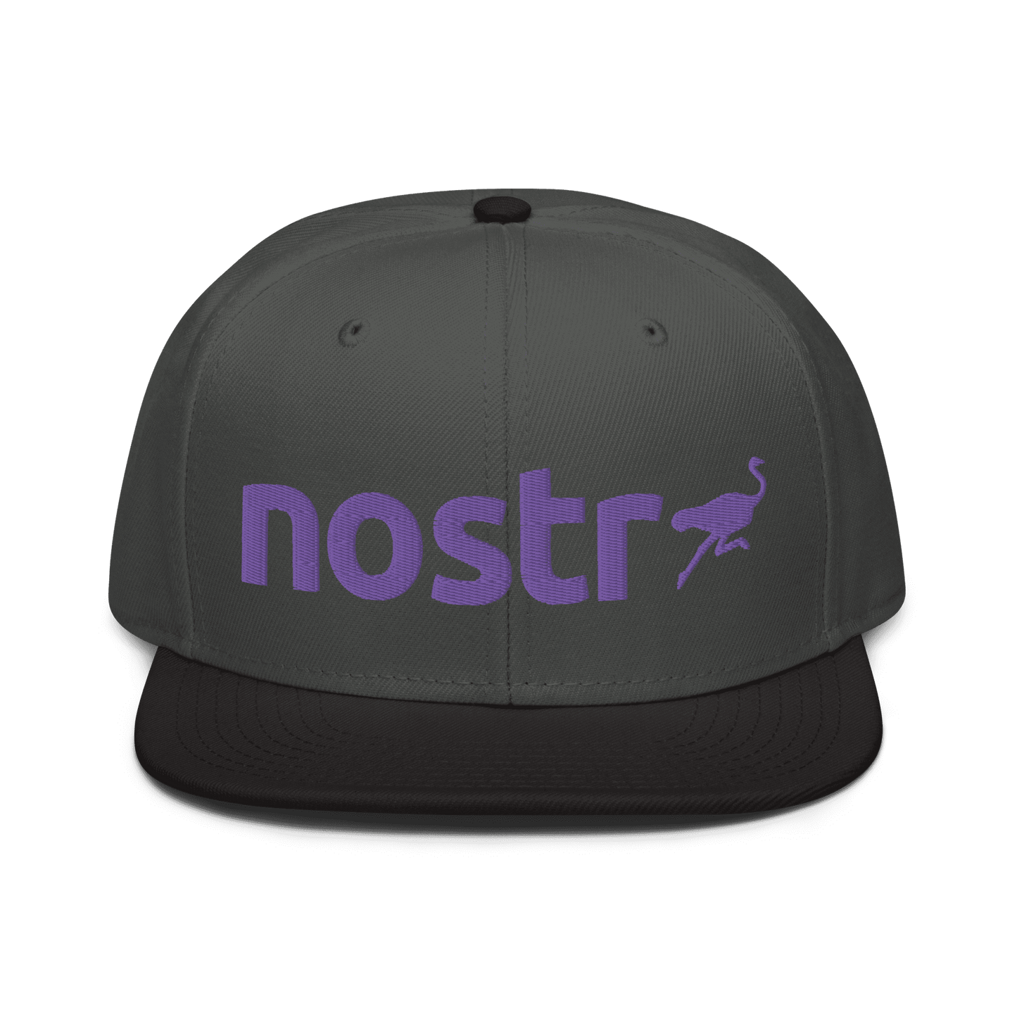 Nostr Snapback Hat
