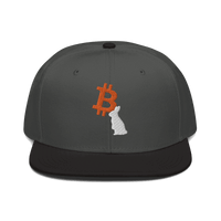 Front view of a charcoal grey and black bitcoin snapback hat.