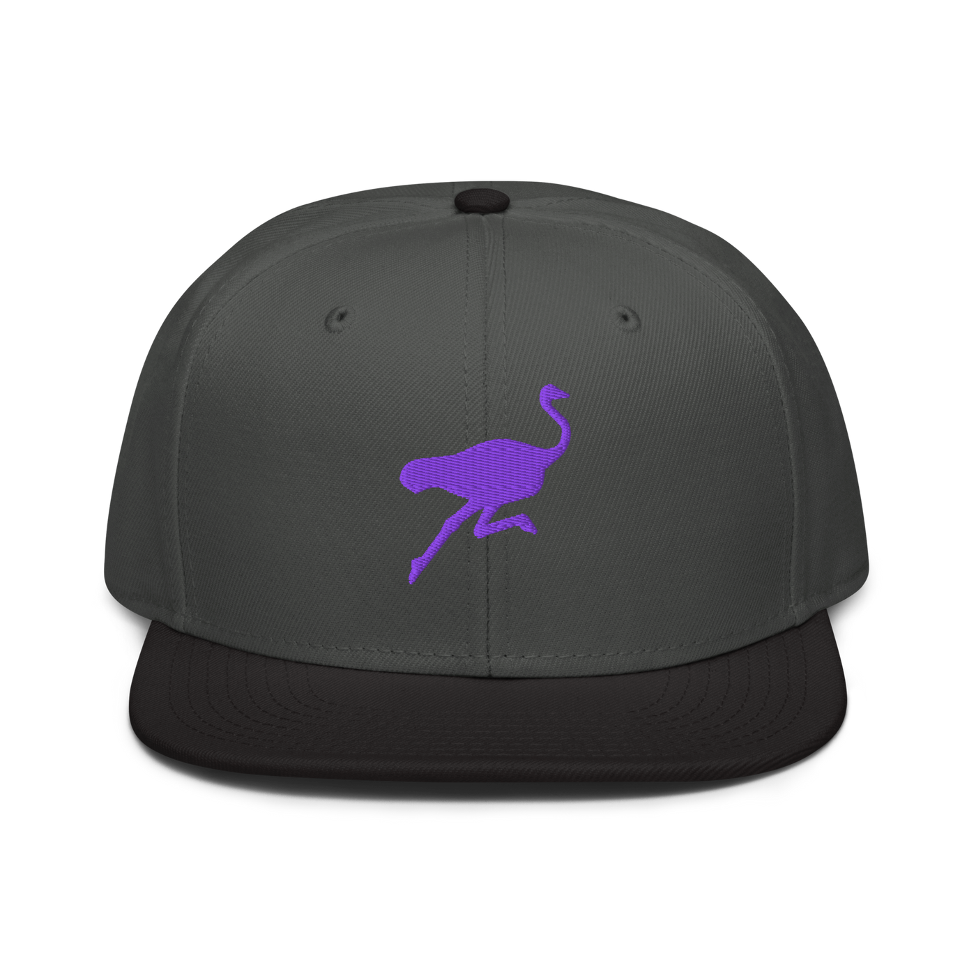 Nostrich nostr snapback hat in Black / Charcoal gray / Charcoal gray, front view.