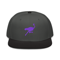 Nostrich nostr snapback hat in Black / Charcoal gray / Charcoal gray, front view.