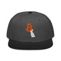 White Rabbit bitcoin snapback hat in Black / Charcoal gray / Charcoal gray, front view.