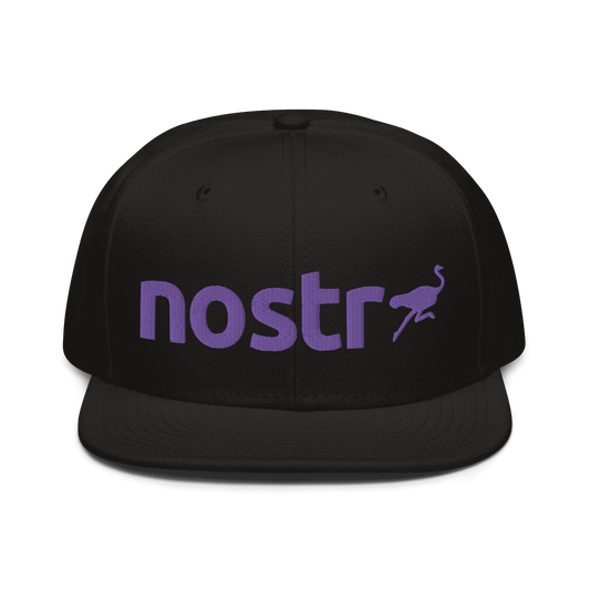 Front view of a black nostr snapback hat.