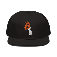 Black Bitcoin snapback hat with white rabbit embroidery and flat visor