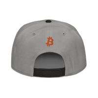Back view of a grey and black bitcoin snapback hat.