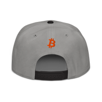Emergency Exit bitcoin snapback hat in Black / Gray / Gray, back view.